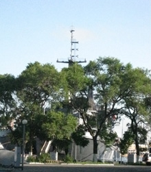 Крейсер в кустах